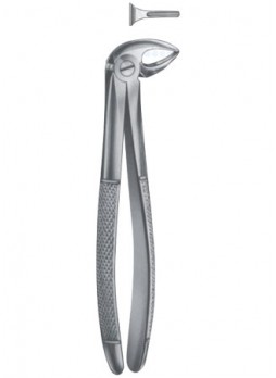 Extracting Forceps